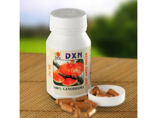 Ganoderma 90 kapsúl RG